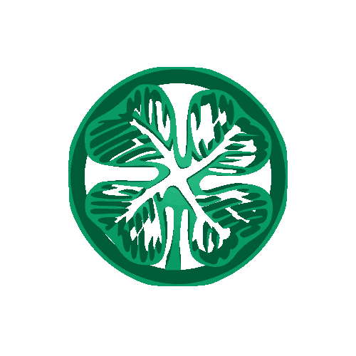 Lucky Shamrock NFT Preview
